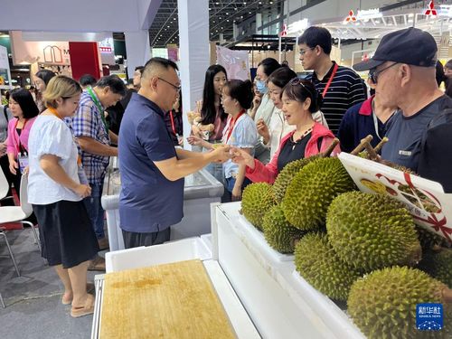 從高端工藝品到大眾消費品 馬來西亞企業借力消博會開拓中國市場